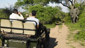 PARQUE KRUGER