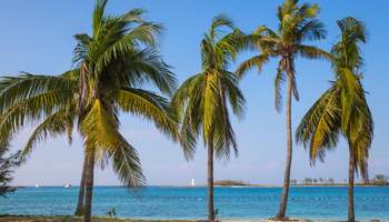 NASSAU