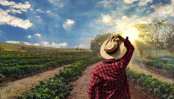 EJE CAFETERO (EXPERIENCIA DEL CAFÉ)