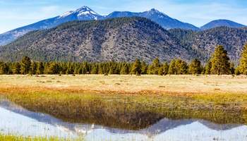 KAYENTA / FLAGSTAFF (311 KM)