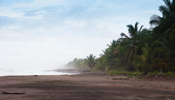 SAN JOSÉ/PN DE TORTUGUERO