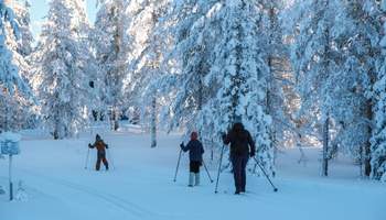 YLLÄS