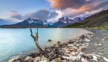 PUERTO NATALES/PARQUE NACIONAL TORRES DEL PAINE
