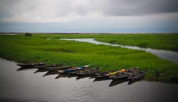 COTONOU / RIVIERE NOIRE / COTONOU