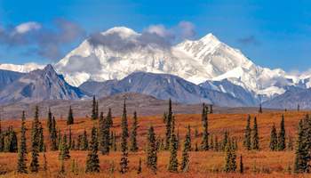 DENALI