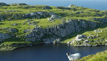 KERRY / COBH / CORK / WATERFORD