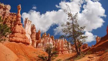 CAÑÓN BRYCE / LAS VEGAS (420 KM)