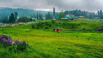SRINAGAR (TANGMARG / GULMARG) (56 KM / 2H30M)