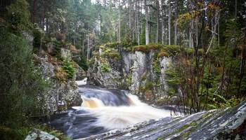 CARRBRIDGE