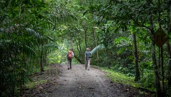 CIUDAD DE PANAMÁ / LAGO GATÚN (RESERVA ECOLÓGICA GAMBOA)