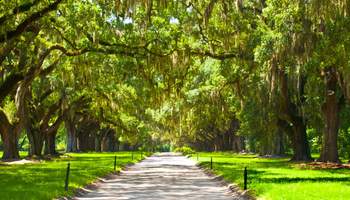 OAK ALLEY / HOUMAS HOUSE