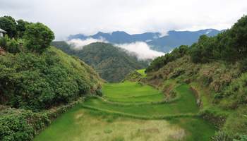 BANAUE / SAGADA