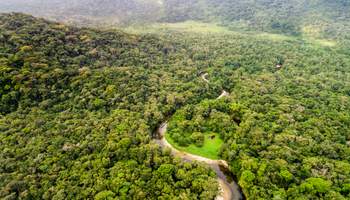 CRUCERO EN EL AMAZONAS (RÍO YANALLPA/RÍO DORADO)