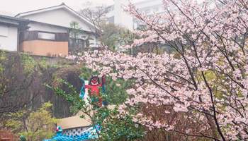 OZU / KUNISAKI / BEPPU