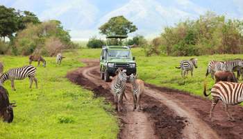 NGORONGORO