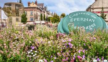 REIMS / EPERNAY / TROYES