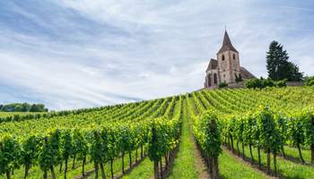 ESTRASBURGO / RUTA DE LOS VINOS / ESTRASBURGO