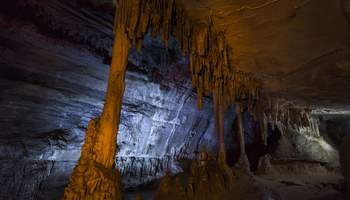 SANTA CRUZ / COCHABAMBA / P N DE TORO TORO