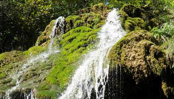 BELGRADO / MANASIJA / LISINE / VRNJACKA BANJA