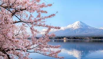 TOKIO / KAWAGUCHIKO / TOKIO