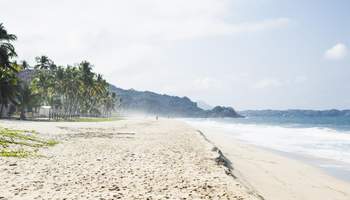 NUEVO NAYARIT