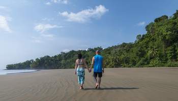 SAN JOSÉ/PN DE TORTUGUERO