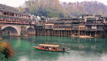 FURONG / FENGHUANG