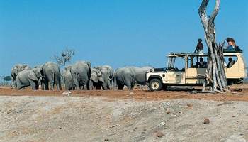 PARQUE NACIONAL DE ETOSHA