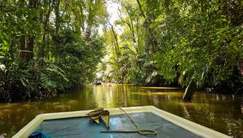 PN VOLCÁN ARENAL/PN TORTUGUERO