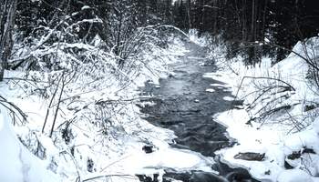 VALDEZ / FAIRBANKS (586 km)