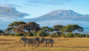 NAIROBI / P N AMBOSELI