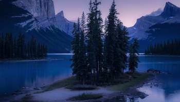 LAKE LOUISE VILLAGE / CAMPOS DE HIELO / JASPER (295 KM)