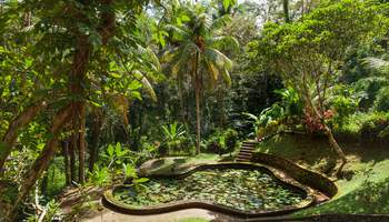 BEDUGUL/UBUD