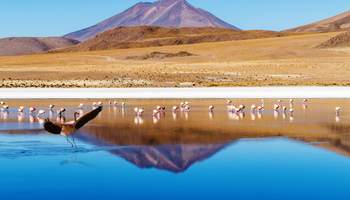 UYUNI / LAGUNA TURQUIRI / JOYAS DE LOS ANDES / DESIERTO DE SILOLI