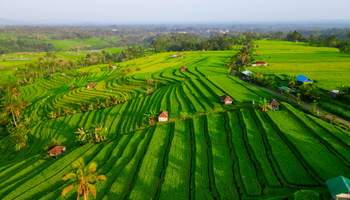RANTEPAO / MAKASAR / PLAYA DE BALI