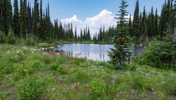 REVELSTOKE / BANFF (290 KM)