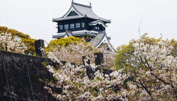 FUKUOKA / KUMAMOTO