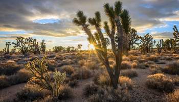 LAUGHLIN / VICTORVILLE (346 KM)