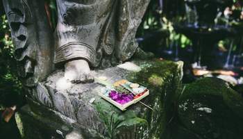 BALI / UBUD