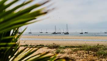 LOMPOC / SANTA BÁRBARA / LOS ÁNGELES (260 KM)