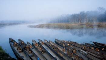 PARQUE NACIONAL DE CHITWAN