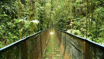 P N VULCÃO ARENAL