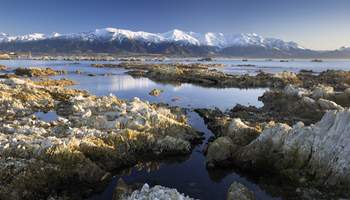 BLENHEIM / KAIKOURA