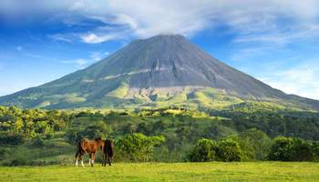 PN TORTUGUERO/PN VOLCÁN ARENAL