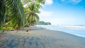 P N TORTUGUERO / CARIBE SUR