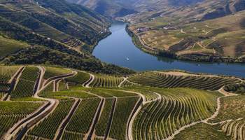 OPORTO / REGIÓN DEL DUERO / OPORTO