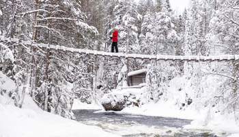 SALLA EXCURSIÓN OPCIONAL: PASEO POR EL PARQUE NACIONAL DE OULANKA