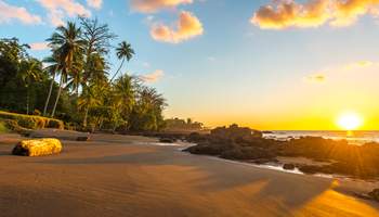 PN DE TORTUGUERO