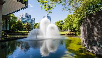 TAUPO / ROTORUA / CHRISTCHURCH