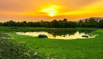 CRUCERO “ABN CHARAIDEW II / SUKAPHA” (NAVEGACIÓN)